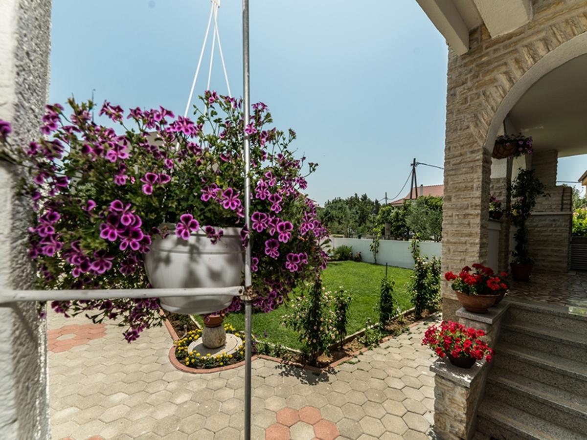 Apartments Dalmatia (Adults Only) Privlaka  Εξωτερικό φωτογραφία